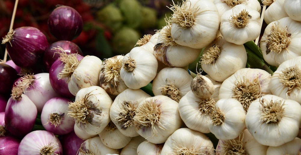 white garlic on purple textile