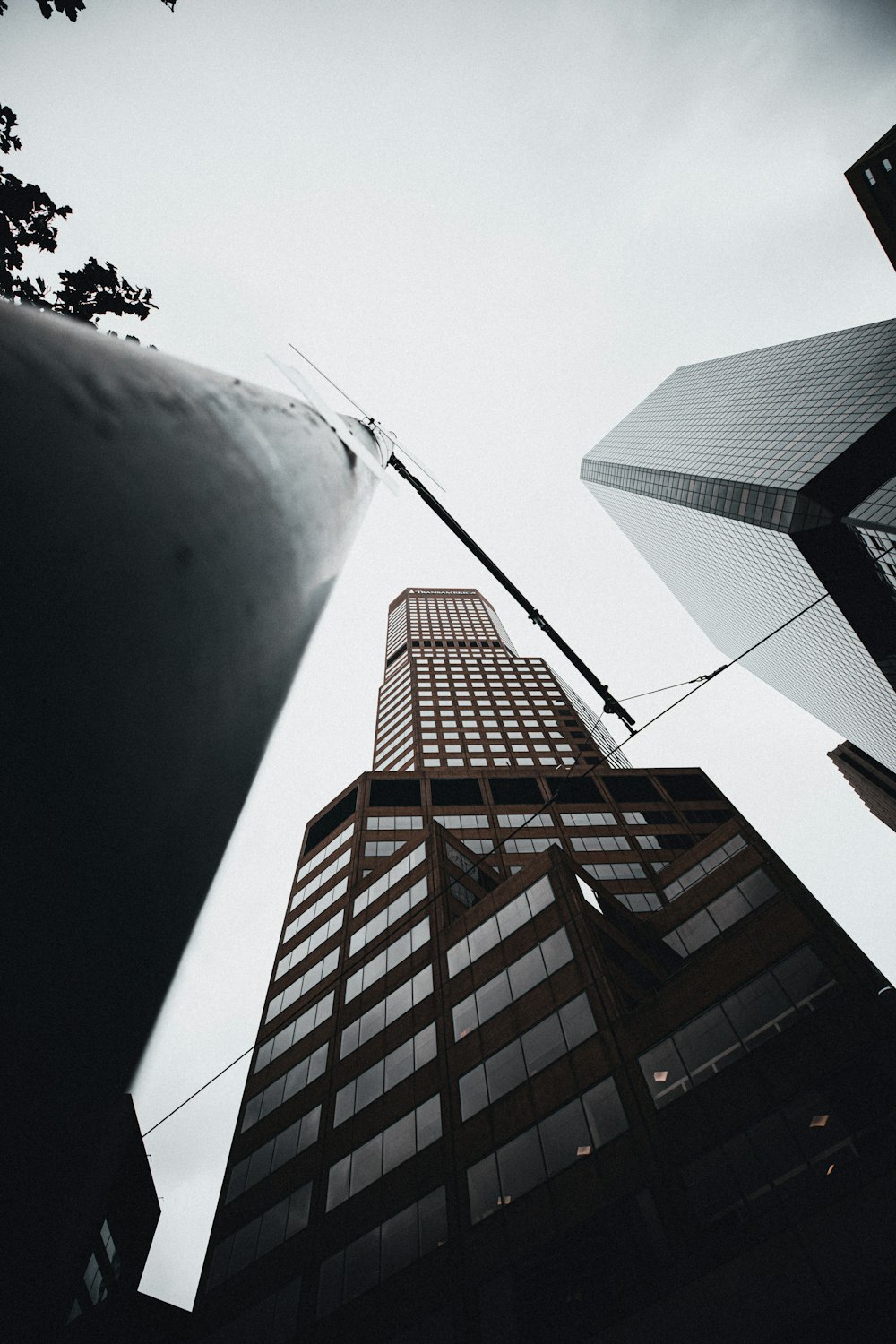 brown and white concrete building