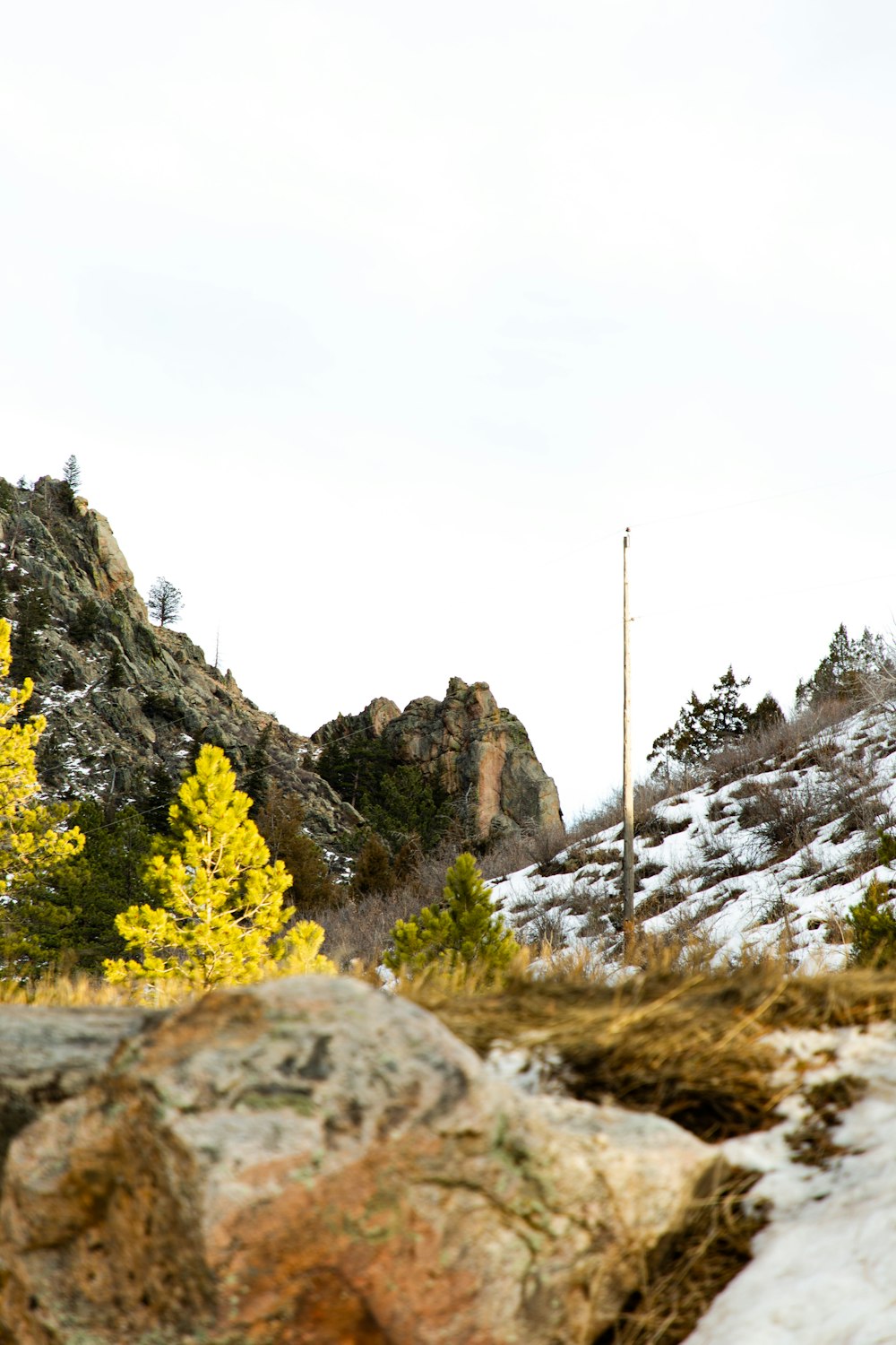 yellow leaf trees on rocky mountain during daytime