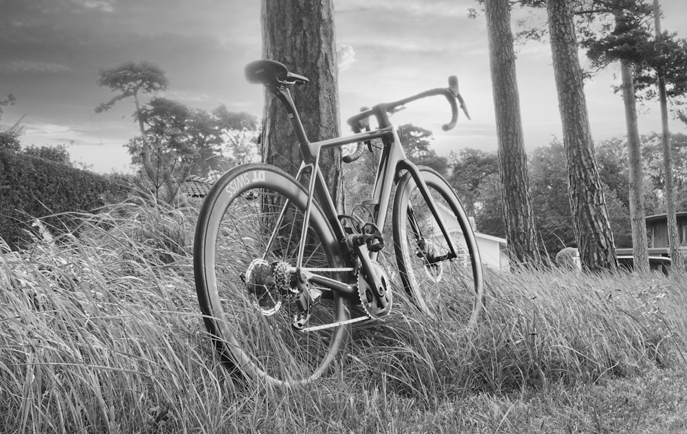 grayscale photo of mountain bike near tree