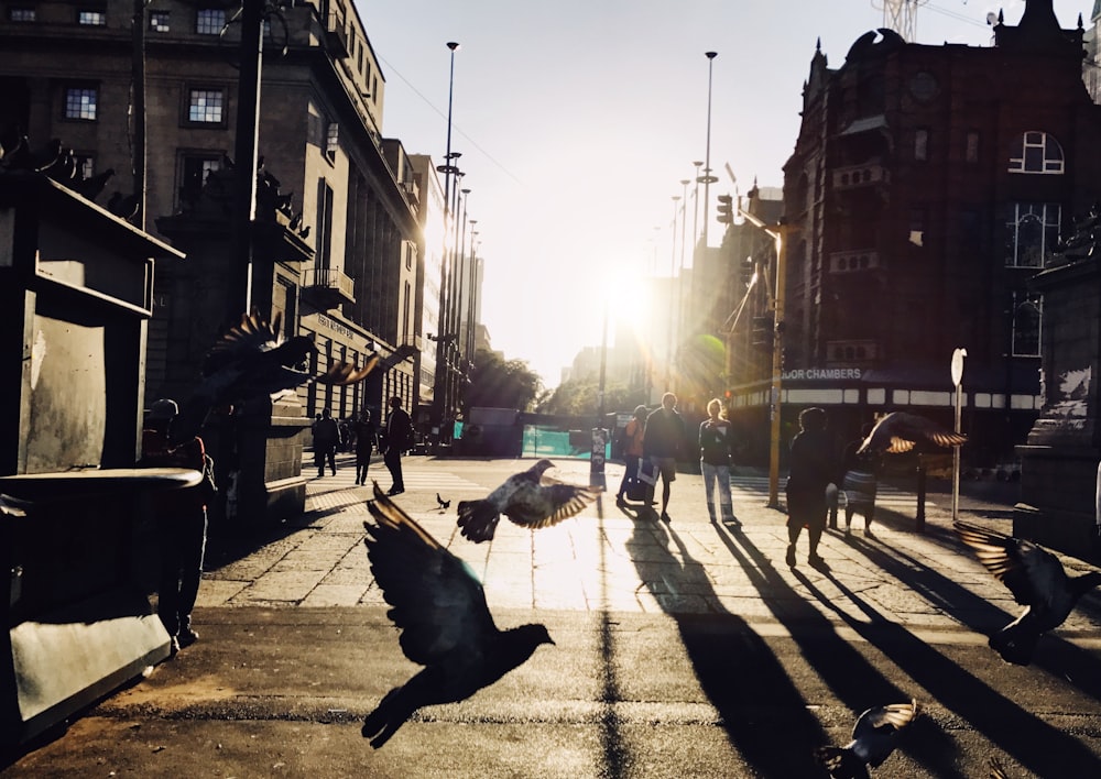 people walking on sidewalk during daytime