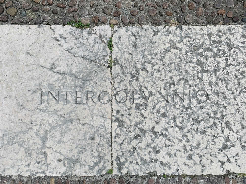 gray concrete blocks with green plants