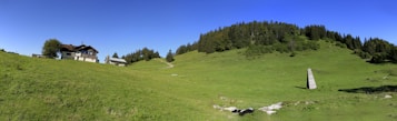 A serene landscape featuring a lush green hillside covered with grass and scattered trees. On the left, there is a rustic house with white walls and a wooden roof, surrounded by a few other structures. A densely forested area can be seen in the upper part of the hill. The sky above is a clear, vibrant blue, contributing to the peaceful atmosphere of the scene.