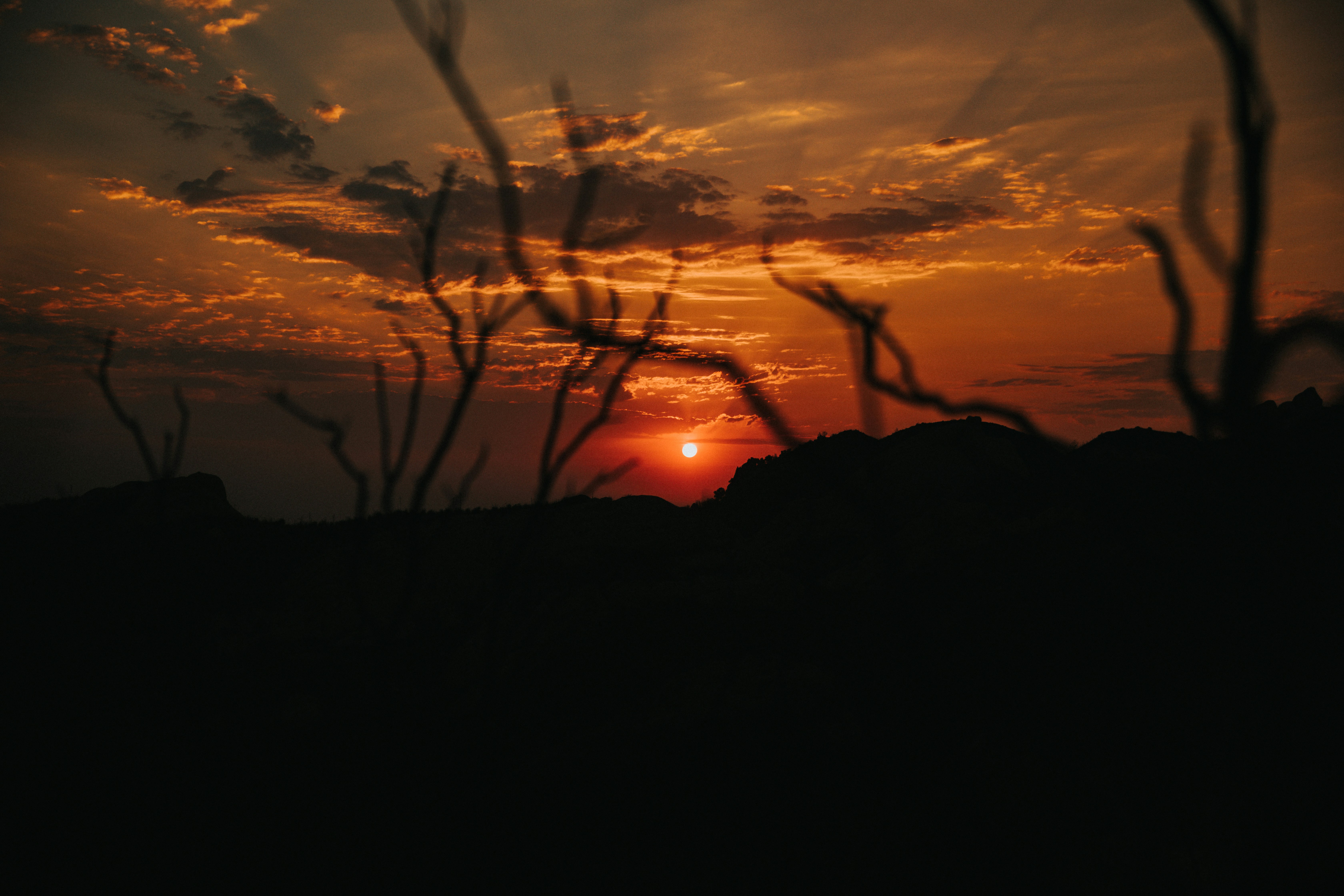 Photo by nate_dumlao