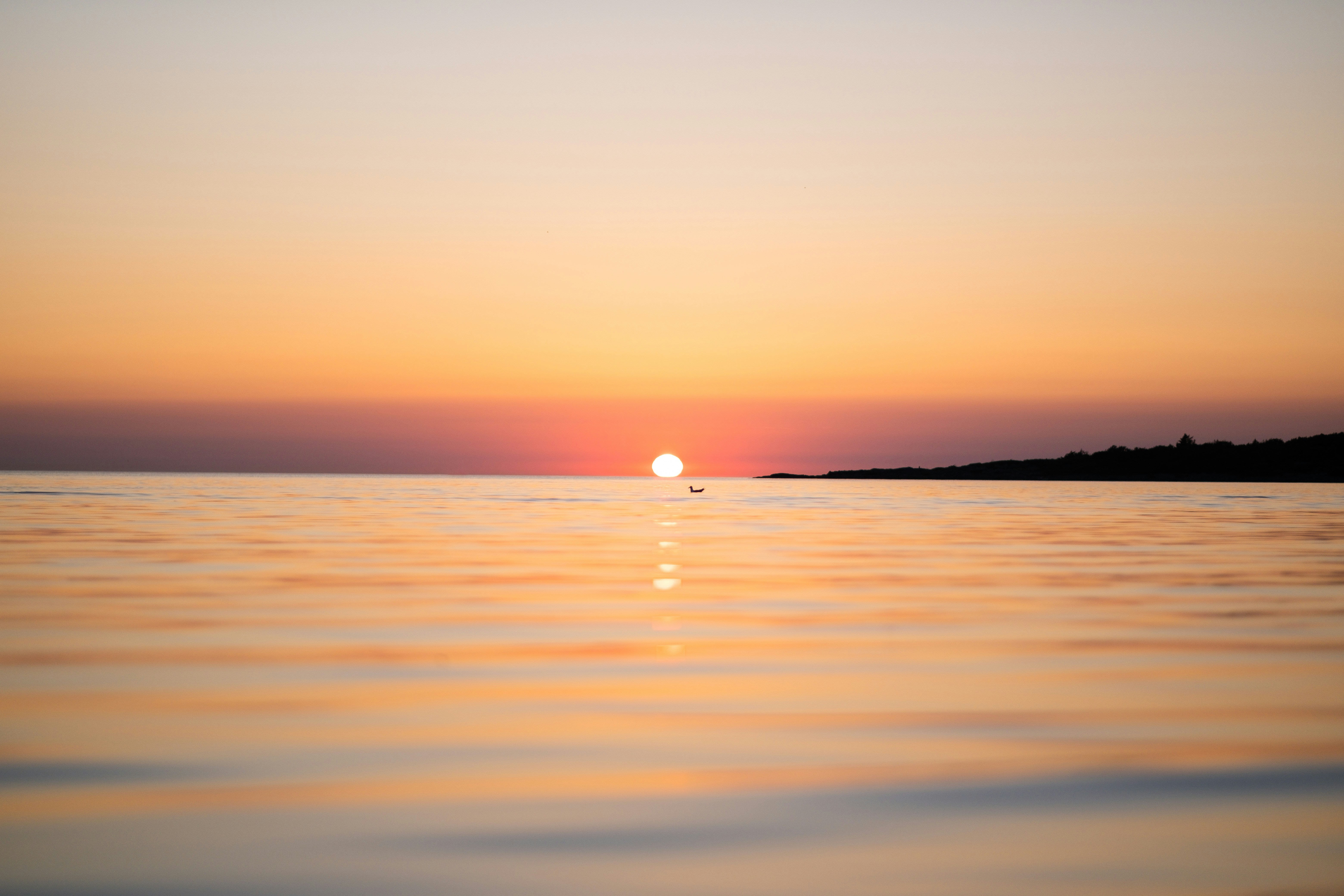 Photo by samuelbryngelsson