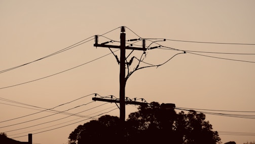 A silhouette of a power line with numerous intersecting cables set against a warm, pastel-colored sky. Trees are visible at the base, creating a contrast with the structured lines above.
