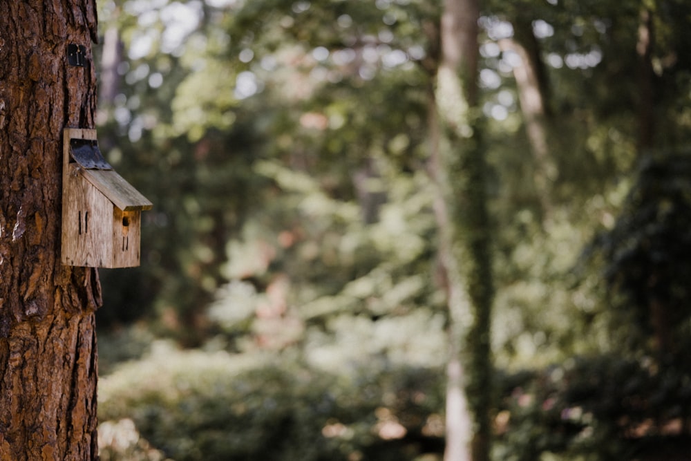 Casita para pájaros de madera marrón en la rama de un árbol durante el día