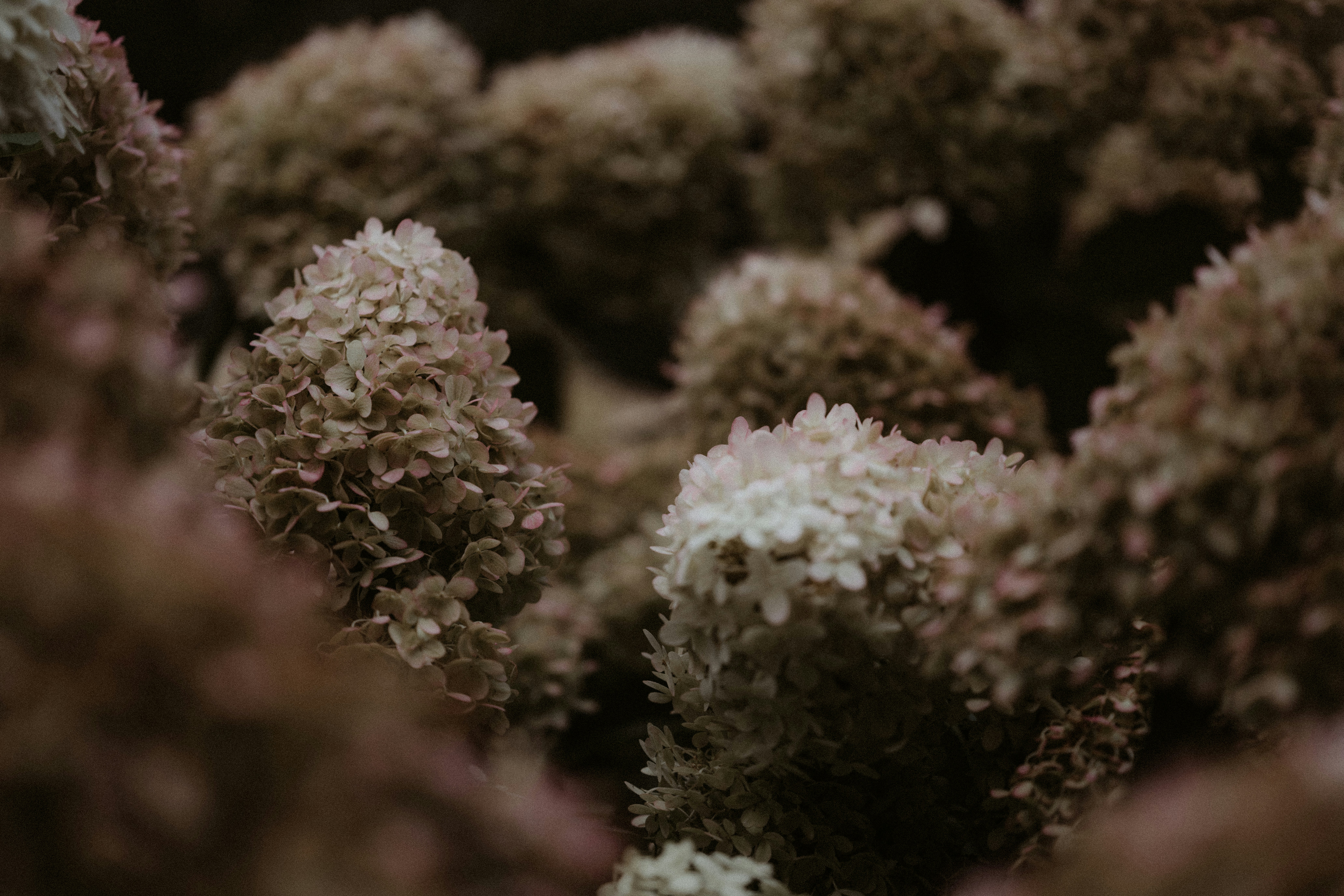 Photo by anniespratt