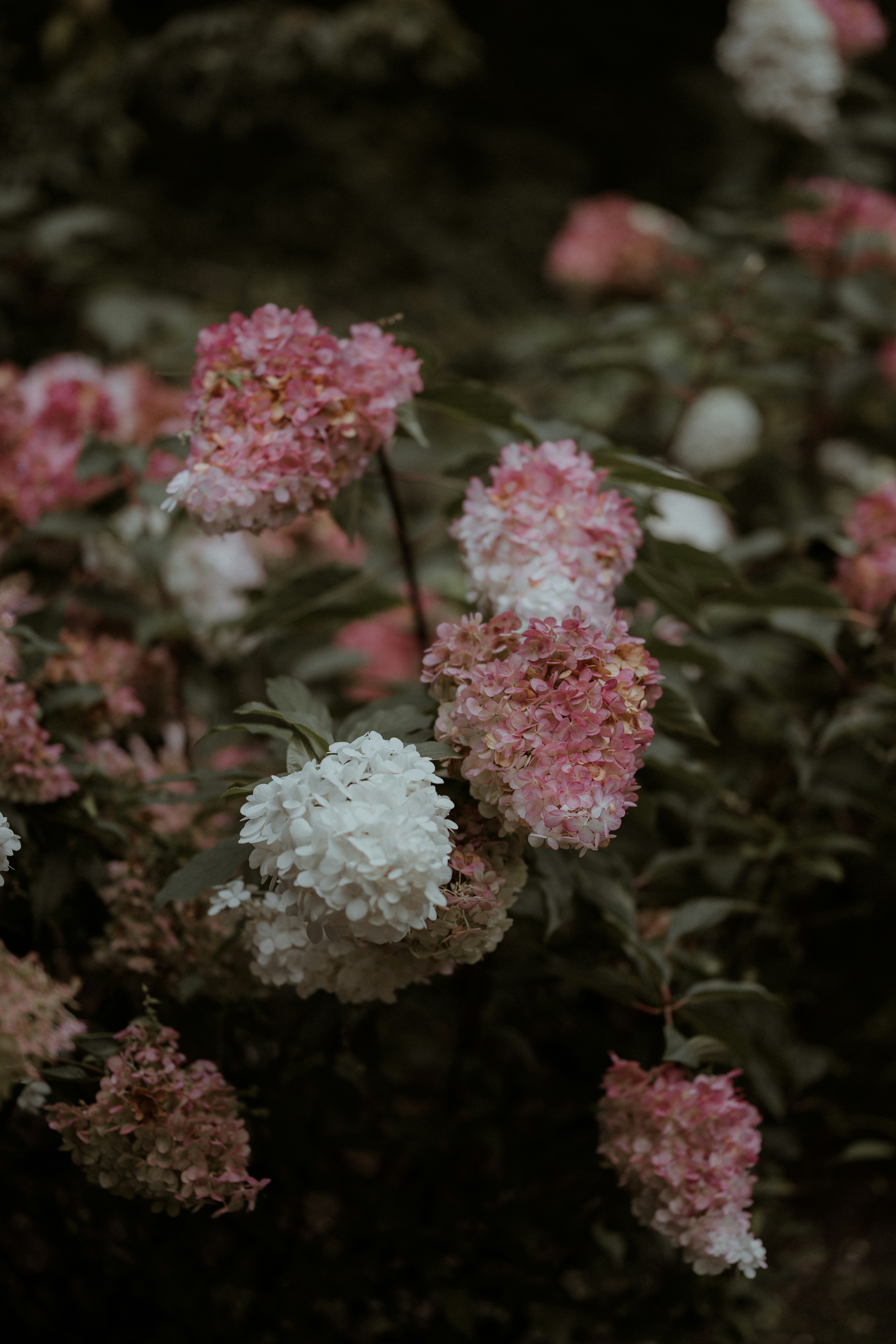 Photo by anniespratt