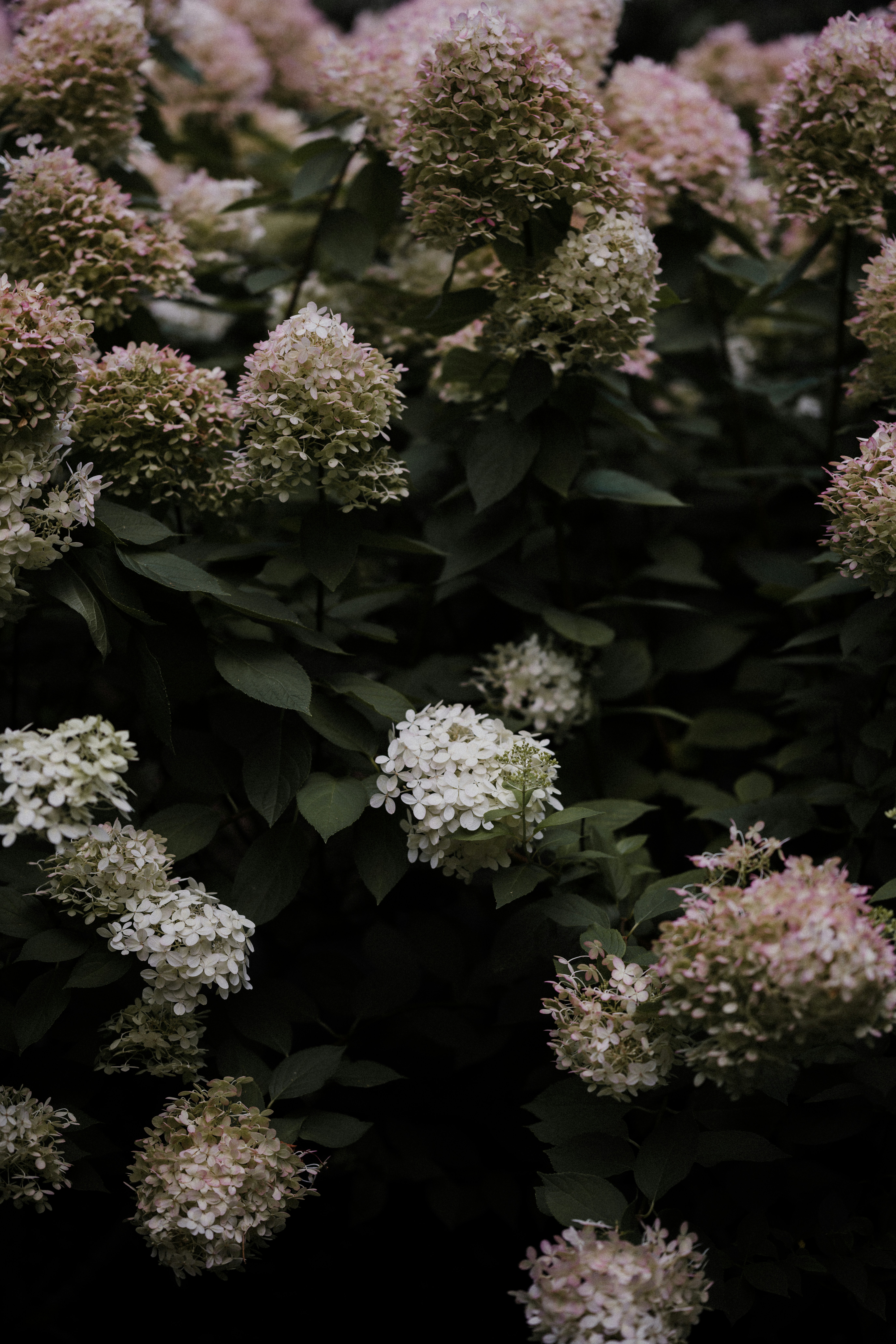 Photo by anniespratt