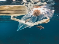 Underwater scene with a piece of plastic debris floating among small striped fish. The water is a deep blue, and the presence of the plastic creates an unsettling contrast with the natural marine life.