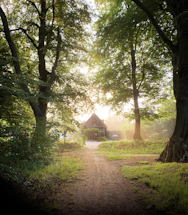 A serene pathway lined with lush green trees leading to a cozy, welcoming farmhouse.