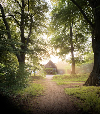 A serene pathway lined with lush green trees leading to a cozy, welcoming farmhouse.