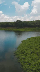 Image of a calm meditation app featuring serene nature backgrounds.