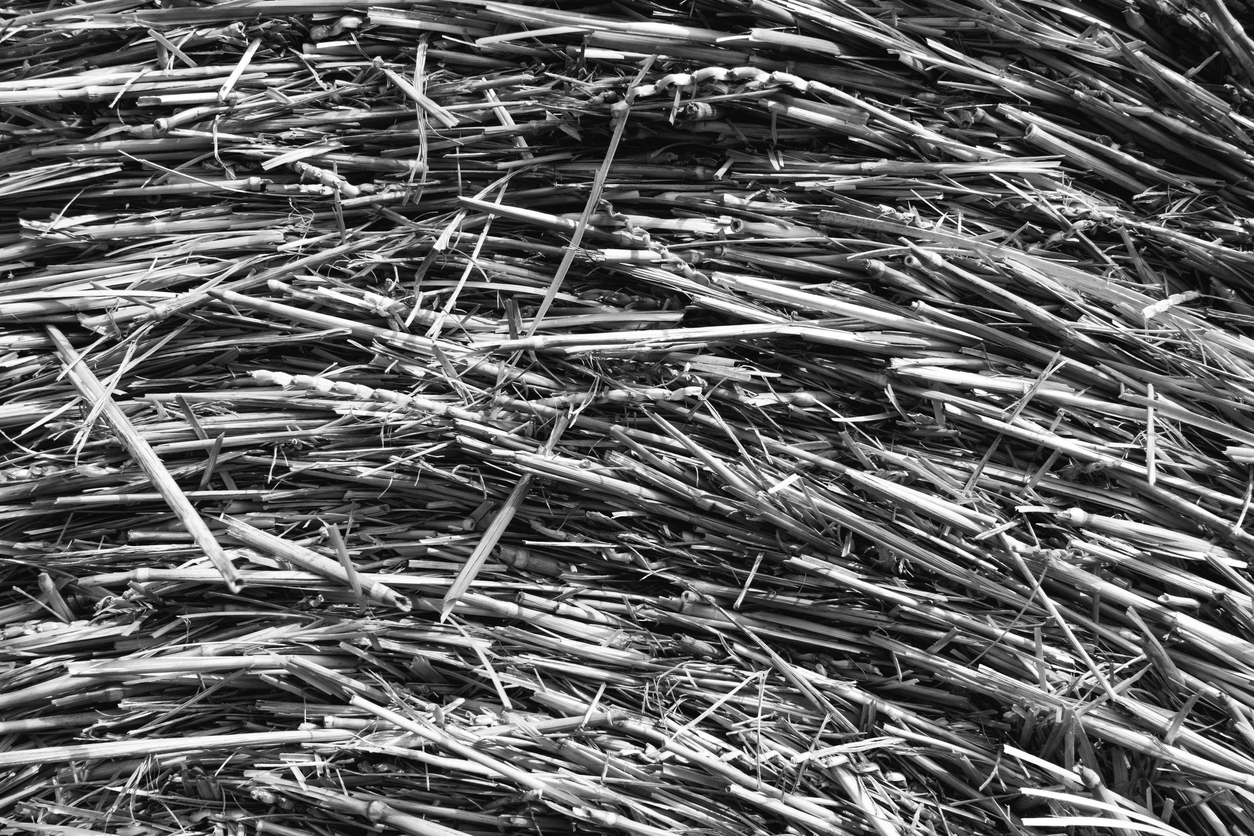 Photo by markuswinkler