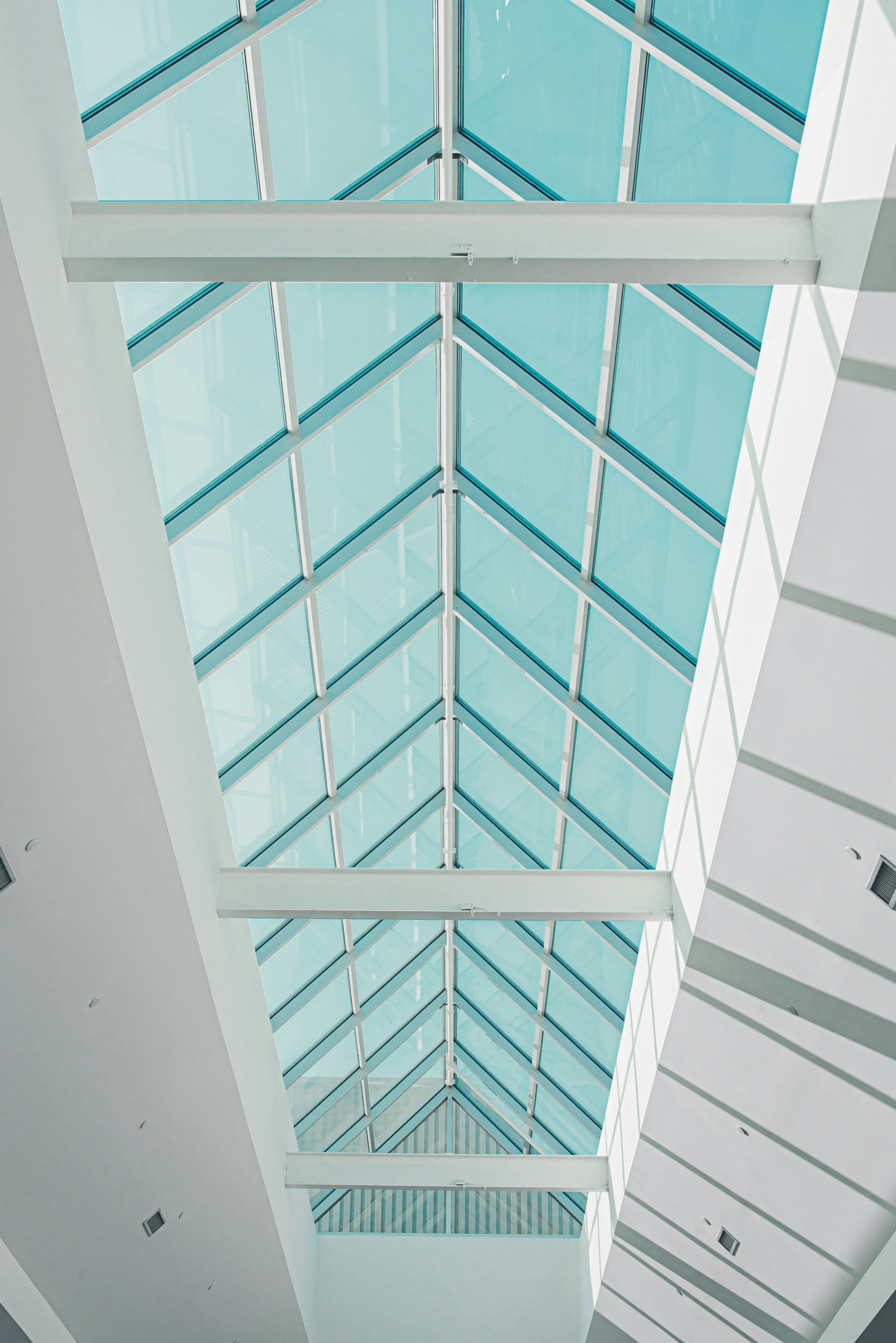 Photo by ryunosuke_kikuno