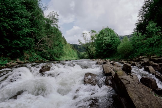 green trees beside river under white clouds during daytime in Bieszczady Poland