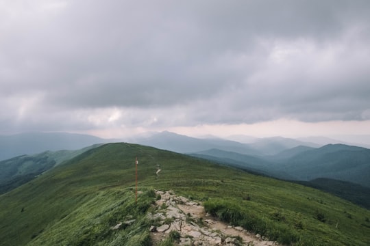 green grass field under cloudy sky during daytime in Bieszczady National Park Poland