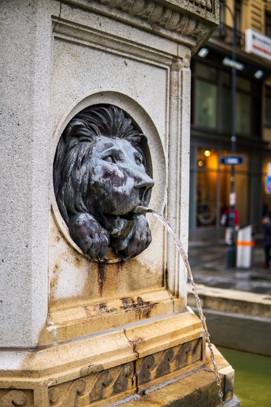 black lion statue on gray concrete wall in St. Stephen's Cathedral Austria