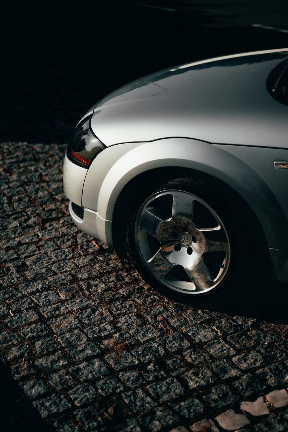 silver car with black and white cat on it