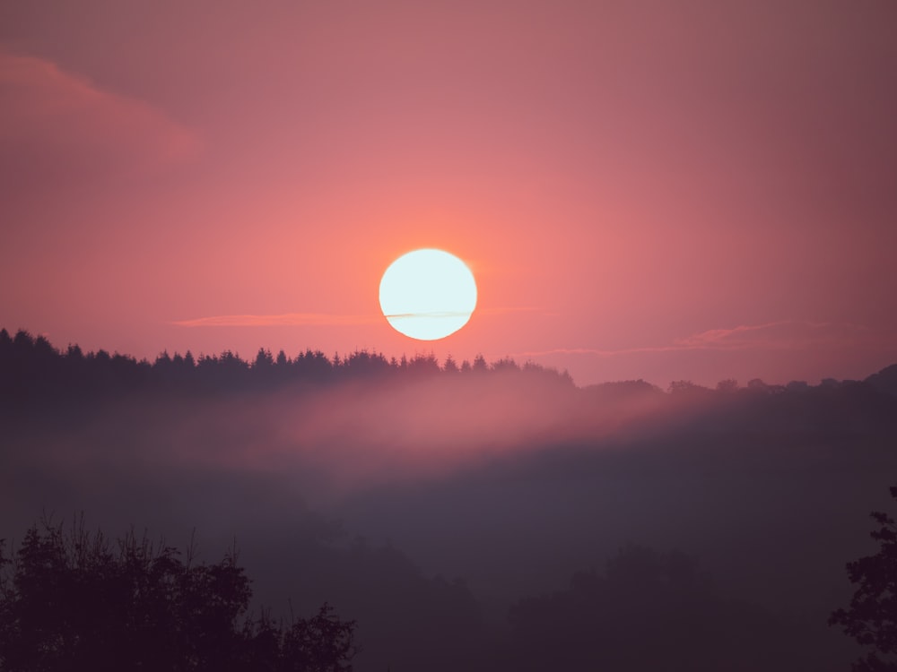 silhouette of trees during sunset