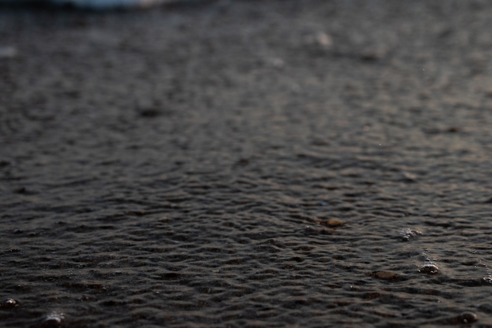 close up photo of brown sand