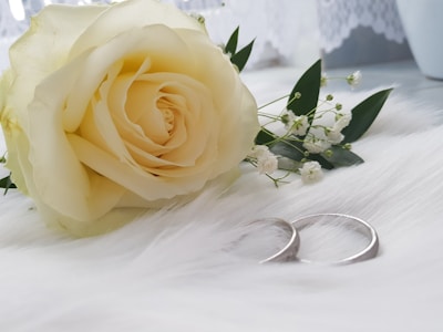 yellow rose in clear glass vase