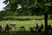people sitting on chair on green grass field during daytime