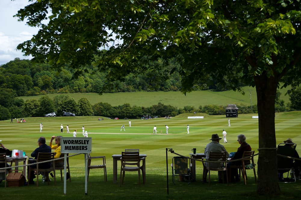 people sitting on chair on green grass field during daytime