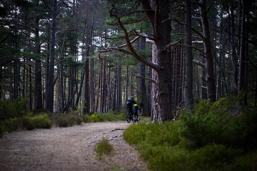 man in black jacket and black pants riding motorcycle on dirt road between trees during daytime