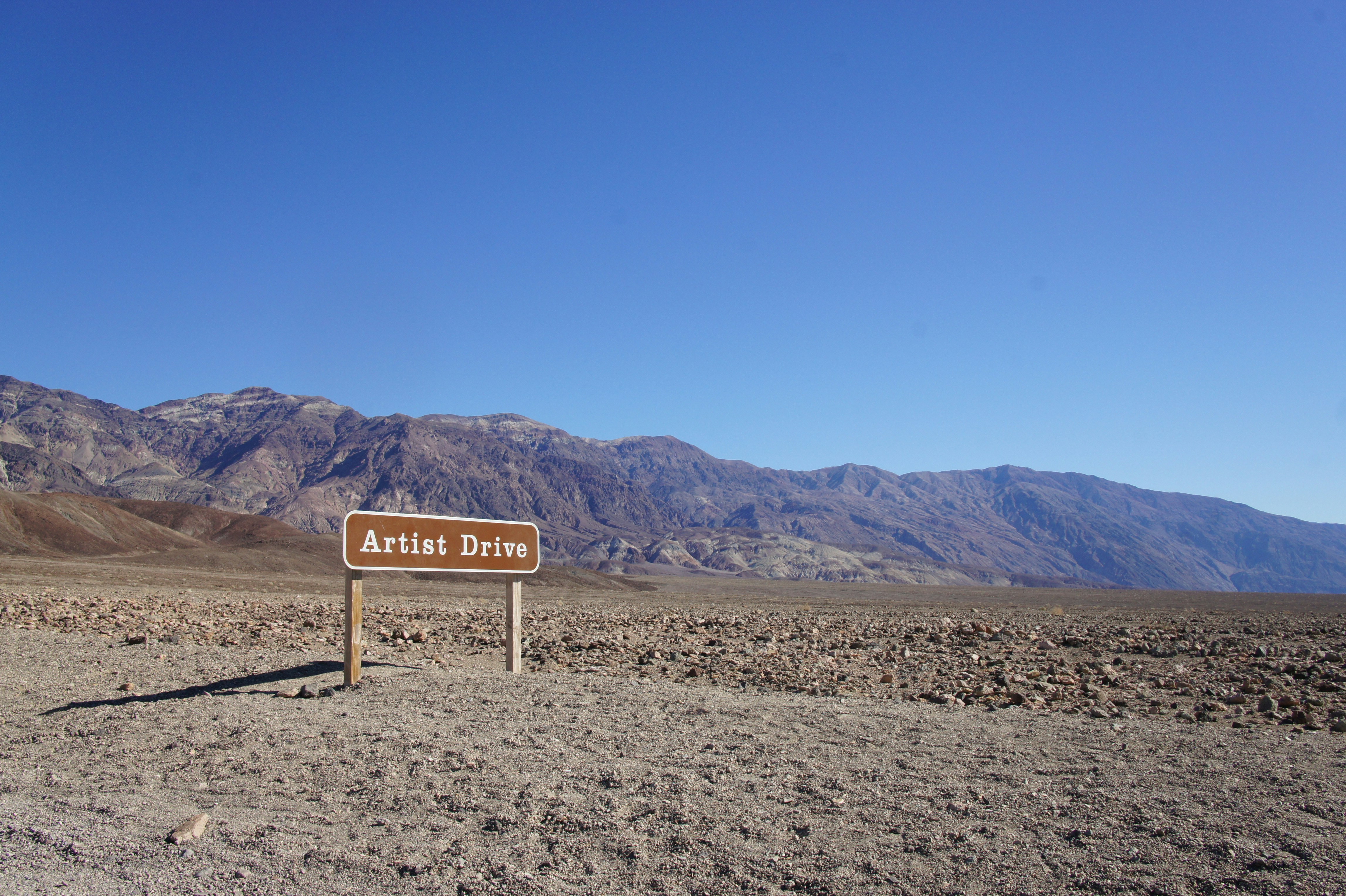 brown and white wooden signage on brown sand during daytime