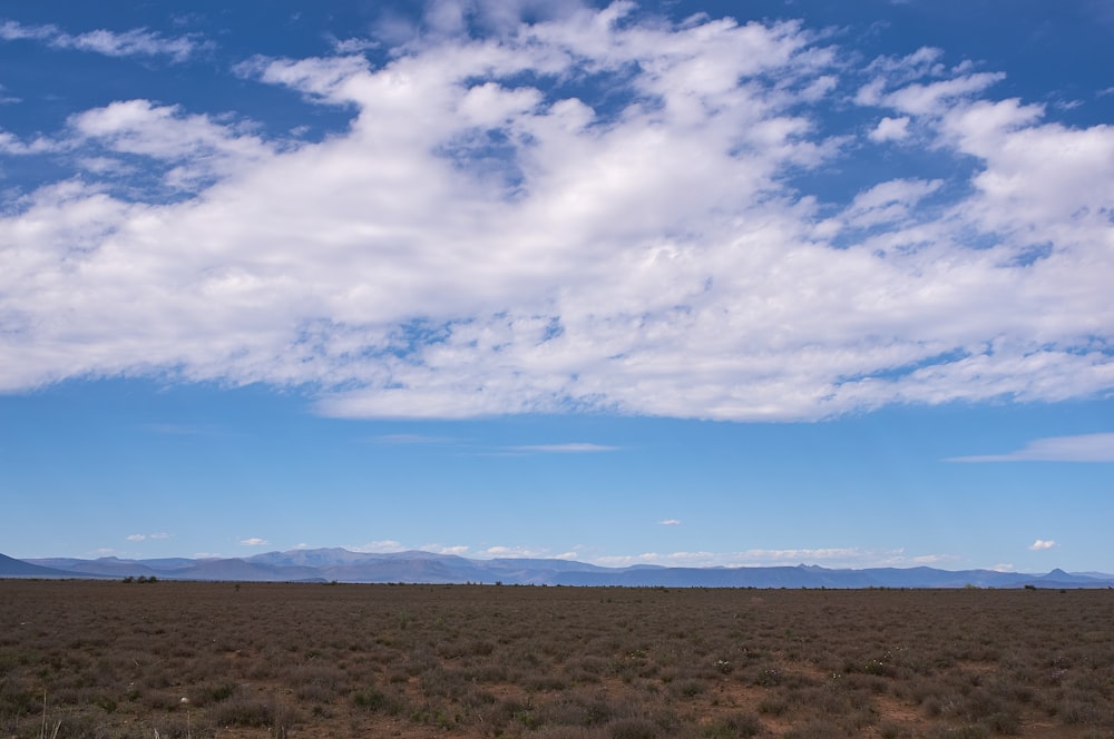 brown field under blue sky and white clouds during daytime