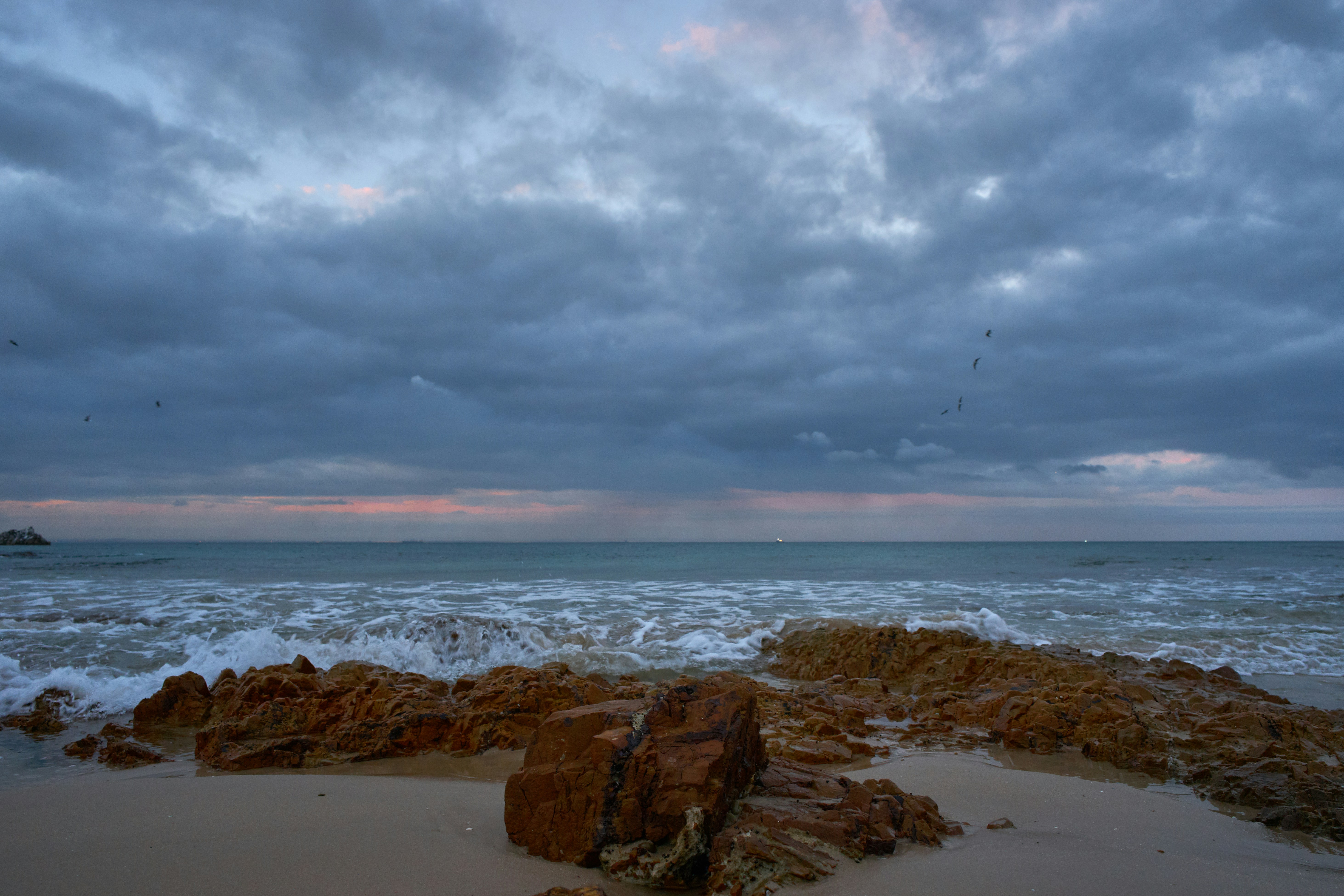 Photo by wolfgang_hasselmann