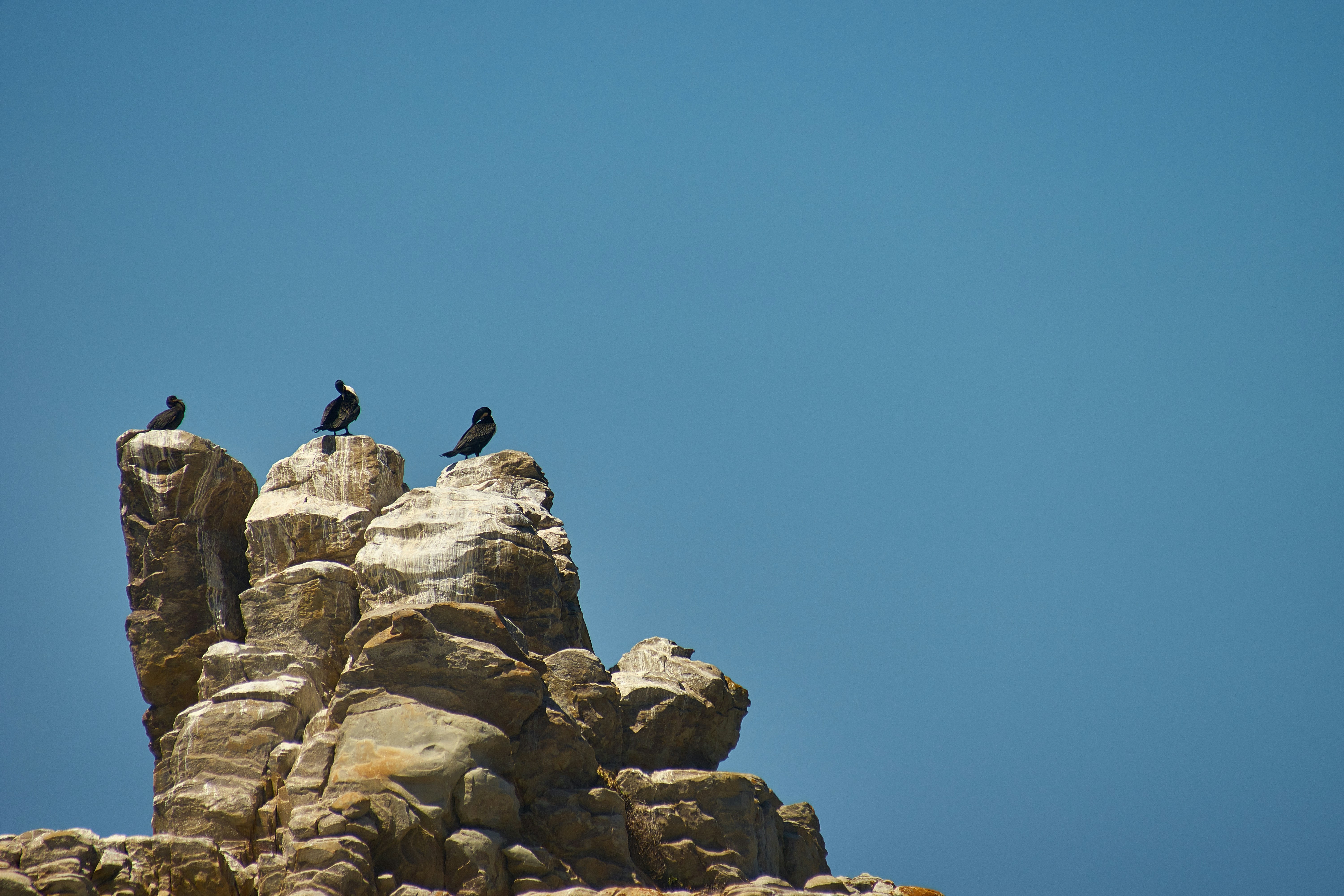 Photo by wolfgang_hasselmann