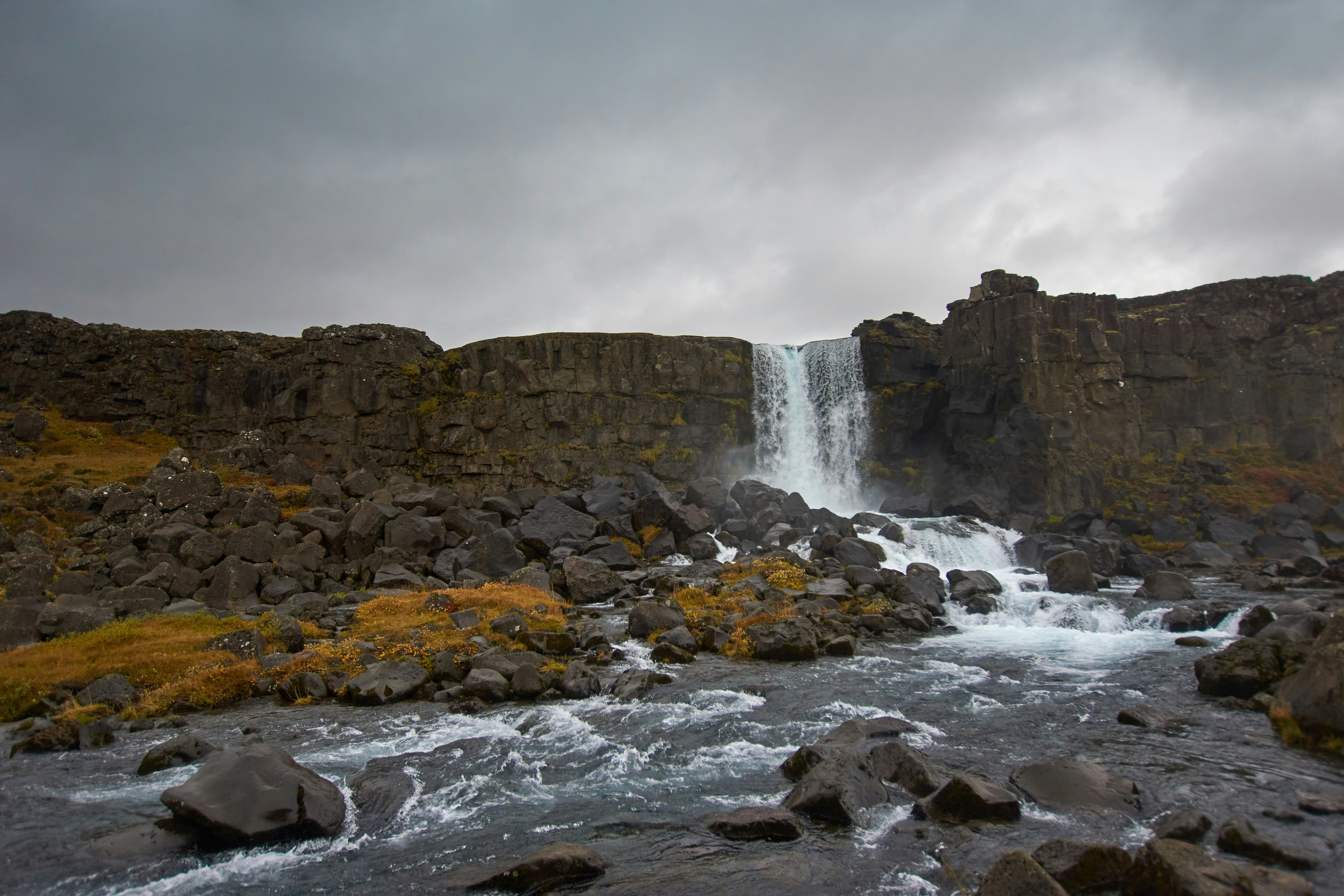 Photo by wolfgang_hasselmann