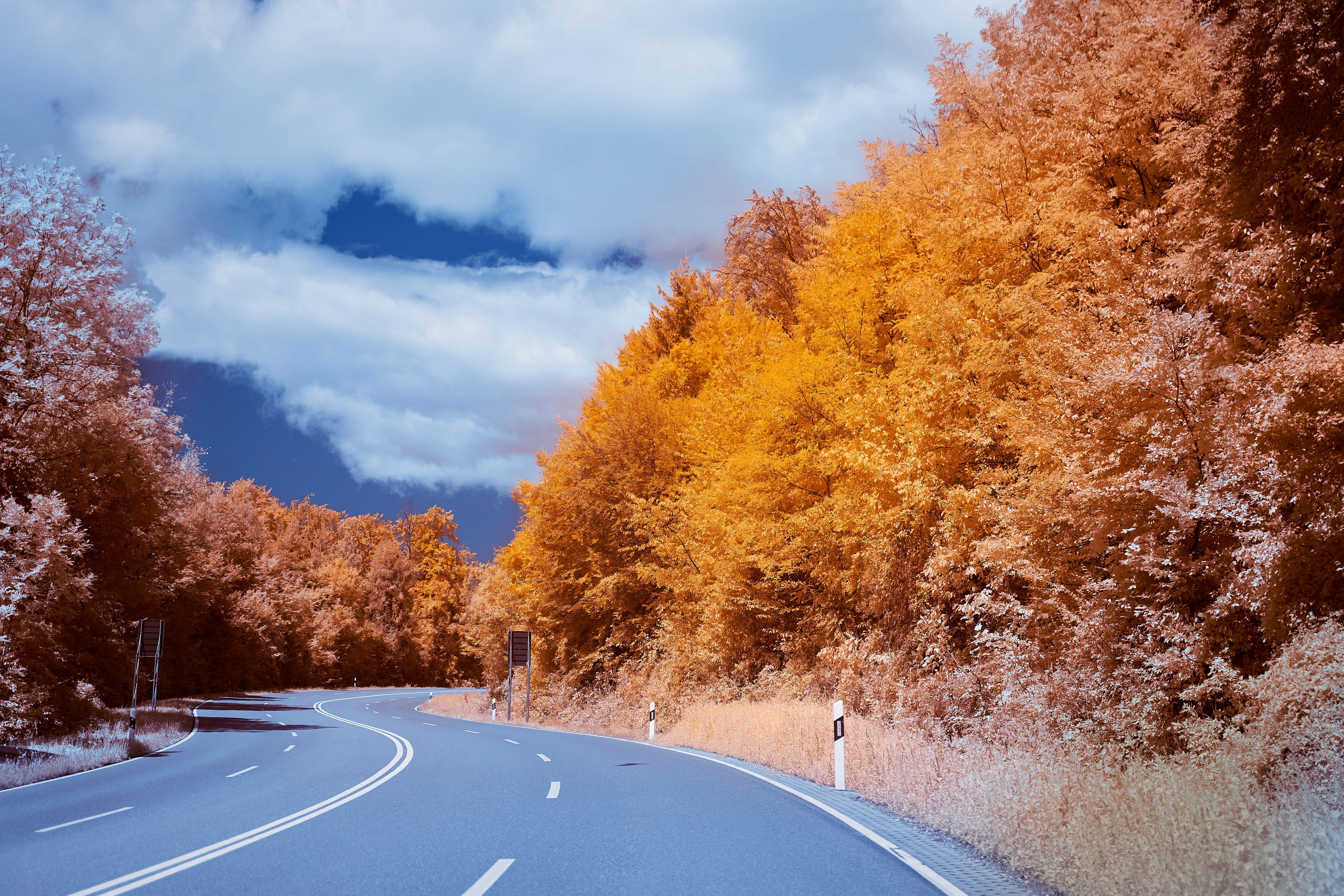 Photo by wolfgang_hasselmann