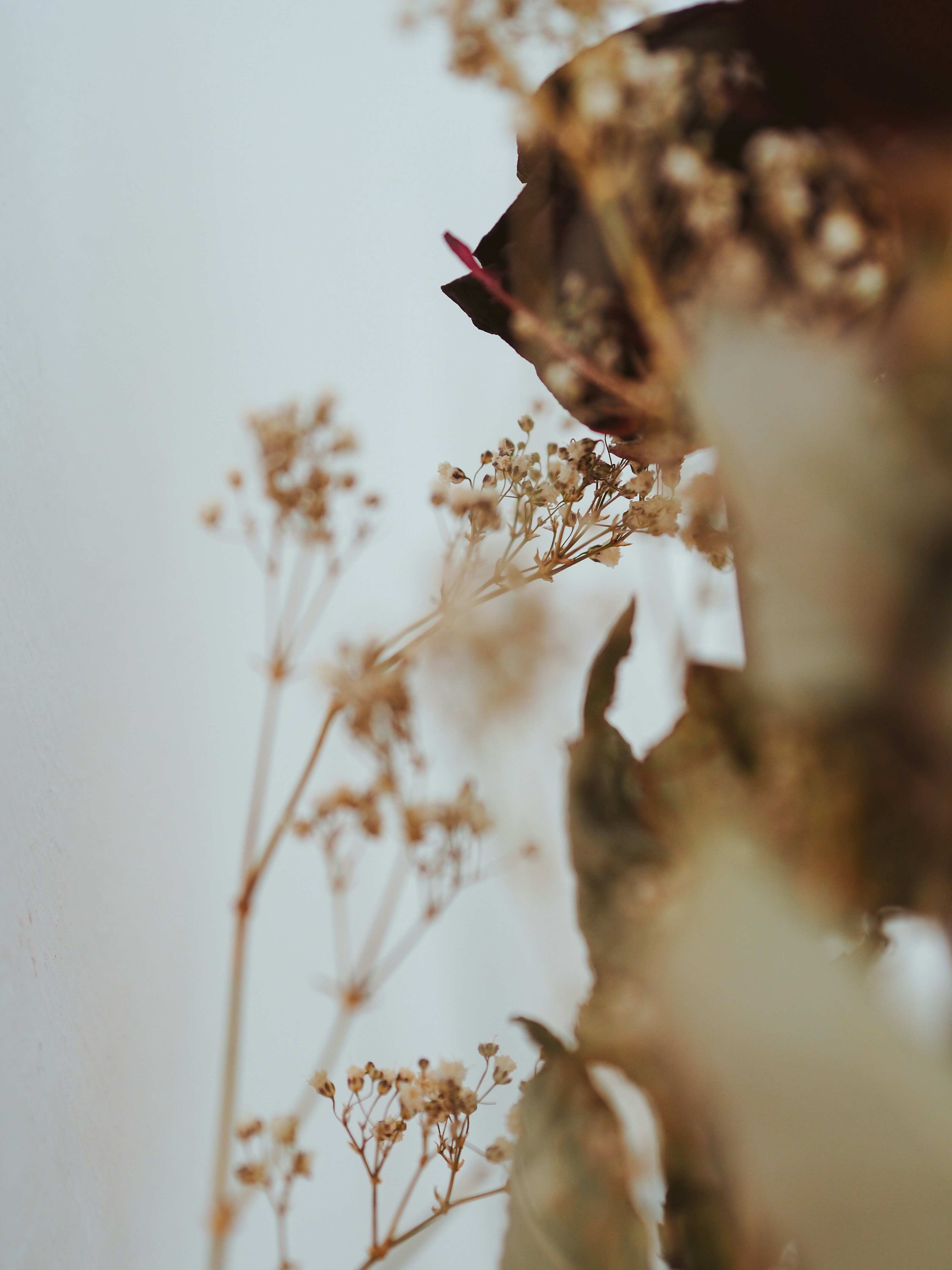 Photo by laurachouette