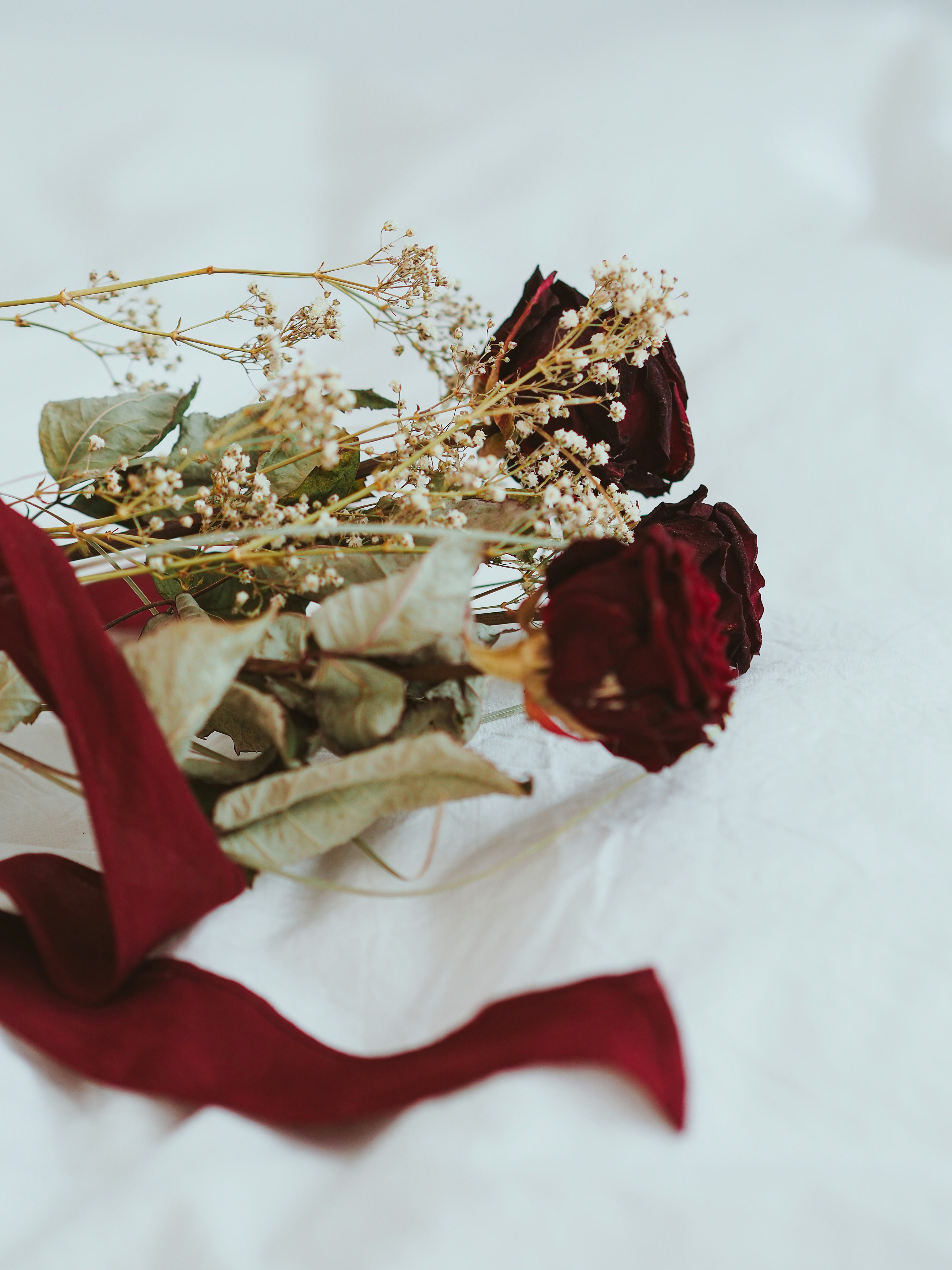 Photo by laurachouette