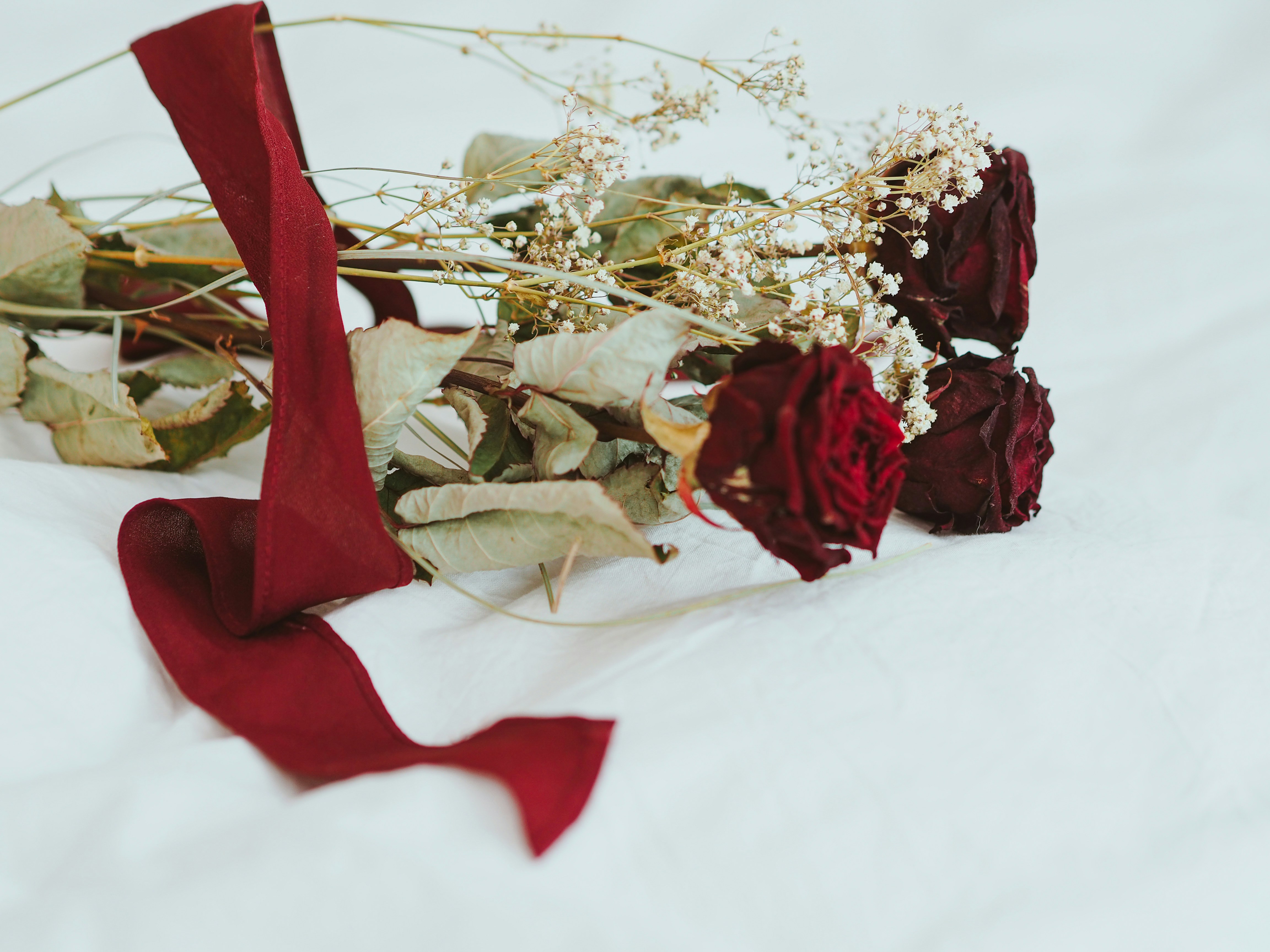 Photo by laurachouette