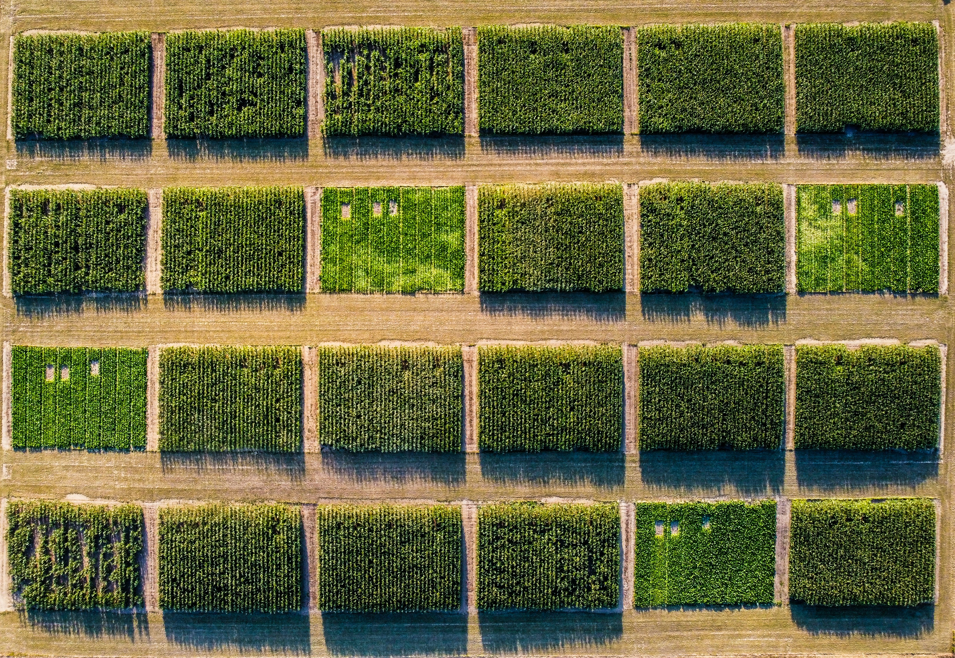 green and brown field during daytime