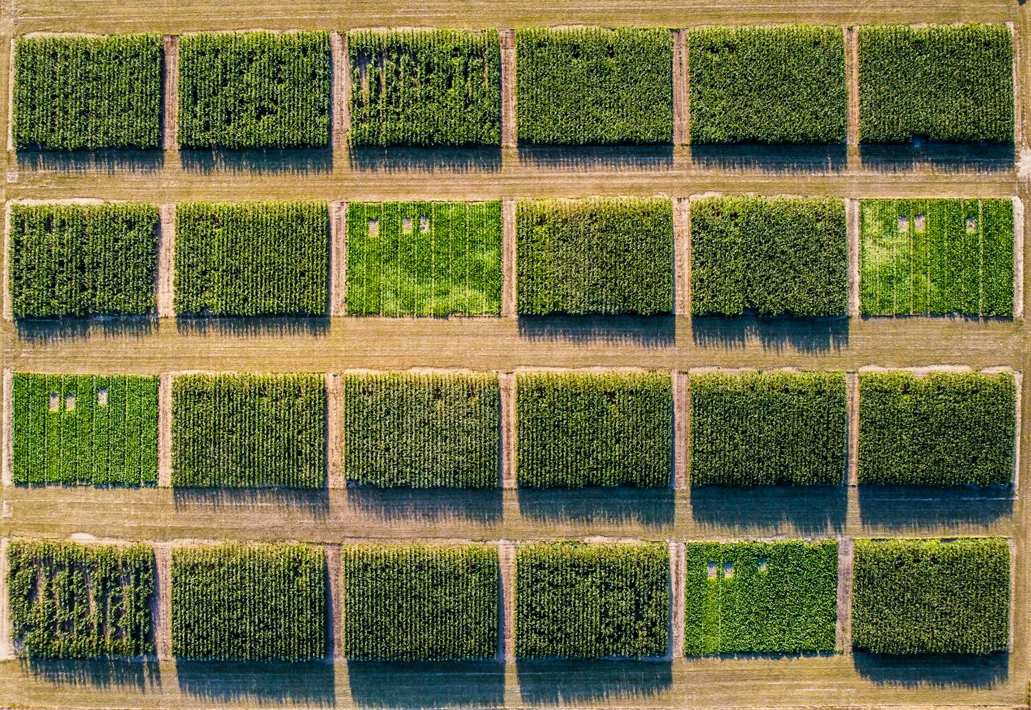 Expert-Led Classes Image