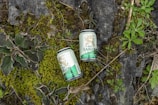 Two Bia Saigon Lager beer cans are placed on a natural surface covered with green moss and various leaves. The background includes stones and small plants, contributing to a natural, earthy setting.