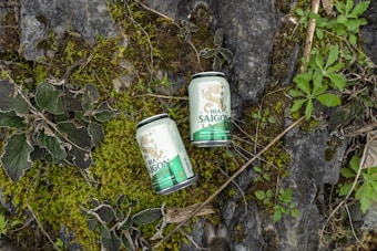 Two Bia Saigon Lager beer cans are placed on a natural surface covered with green moss and various leaves. The background includes stones and small plants, contributing to a natural, earthy setting.