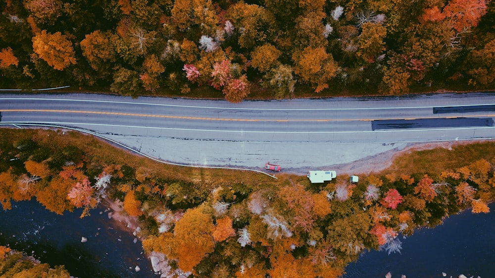 white and red plane on the road