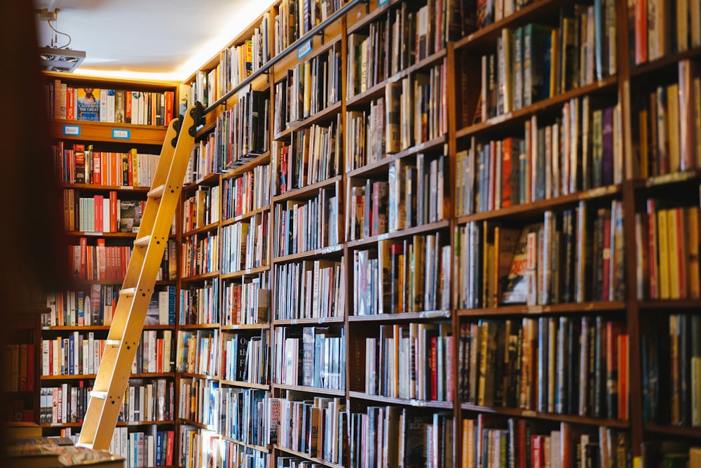 brown wooden book shelves with books