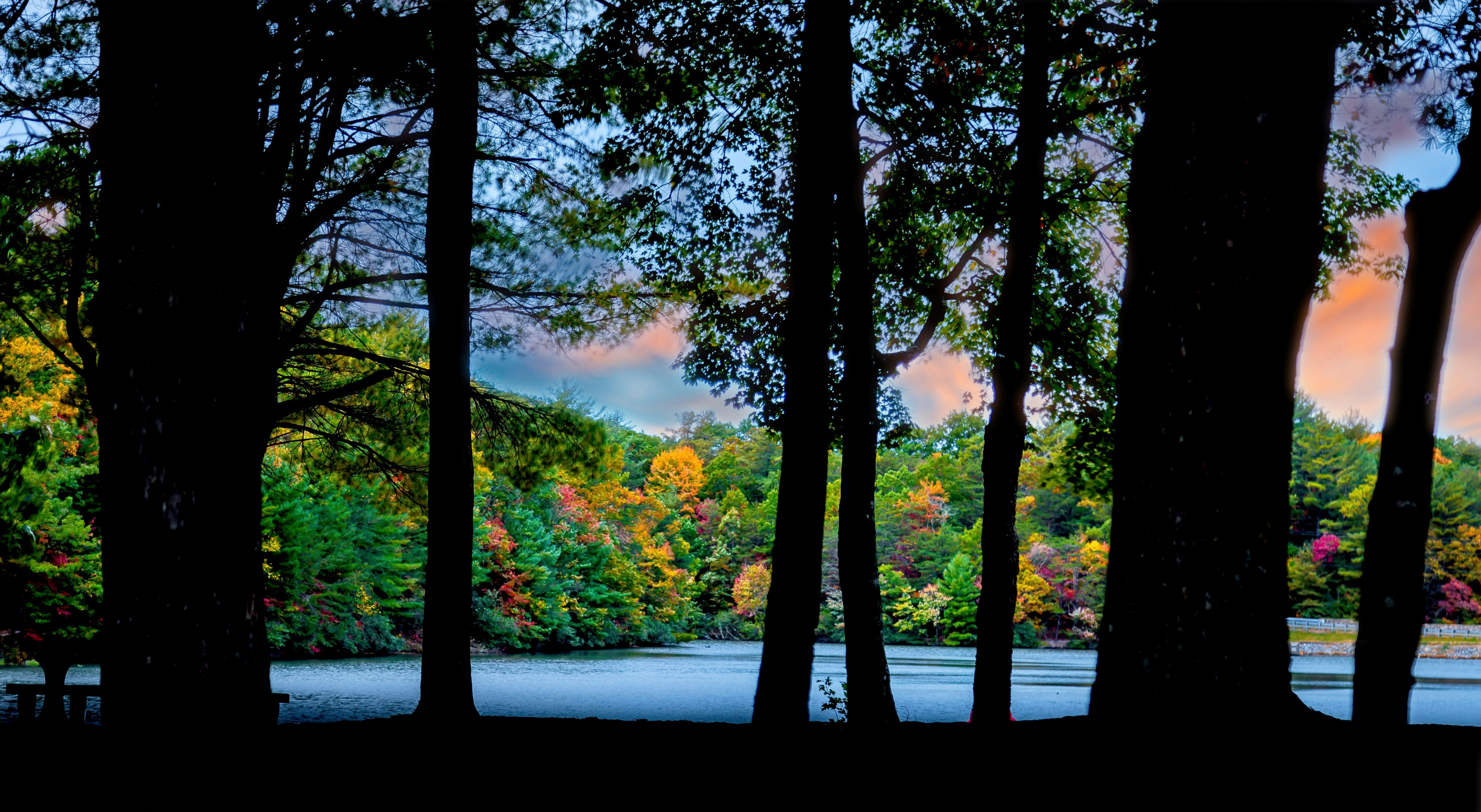 Early morning light in Ueno Park with quiet paths and a pond