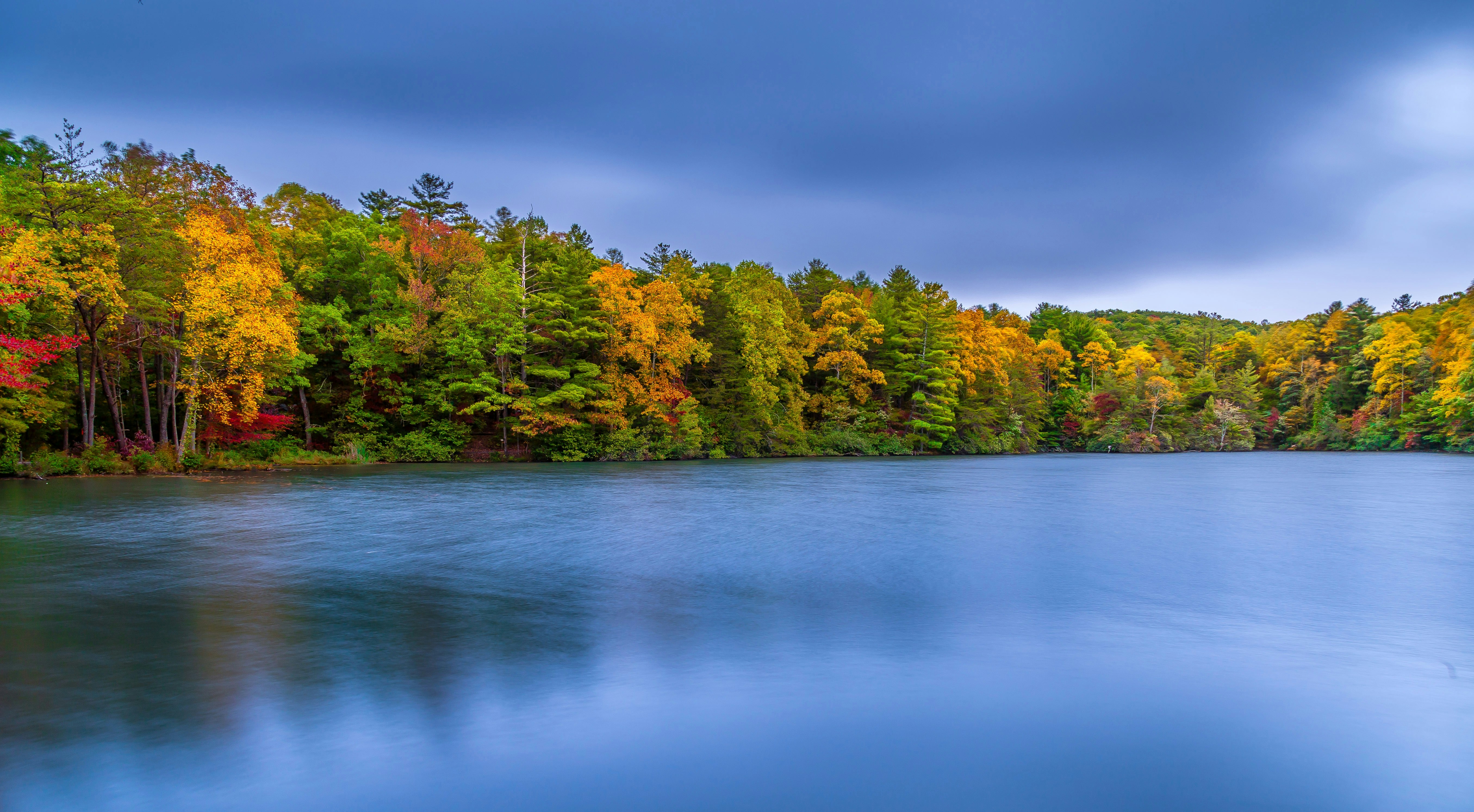 Photo by puregeorgia