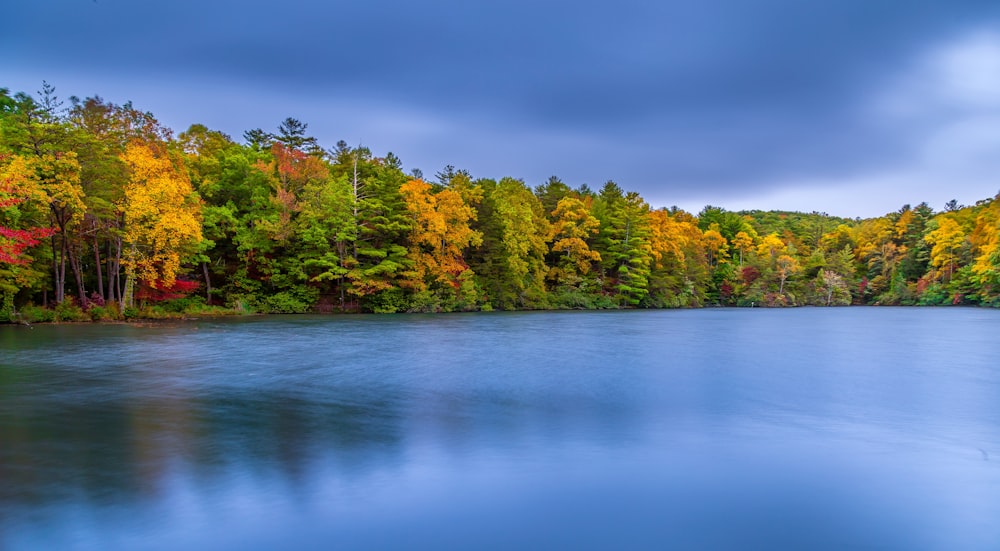 green and red trees beside body of water under blue sky during daytime