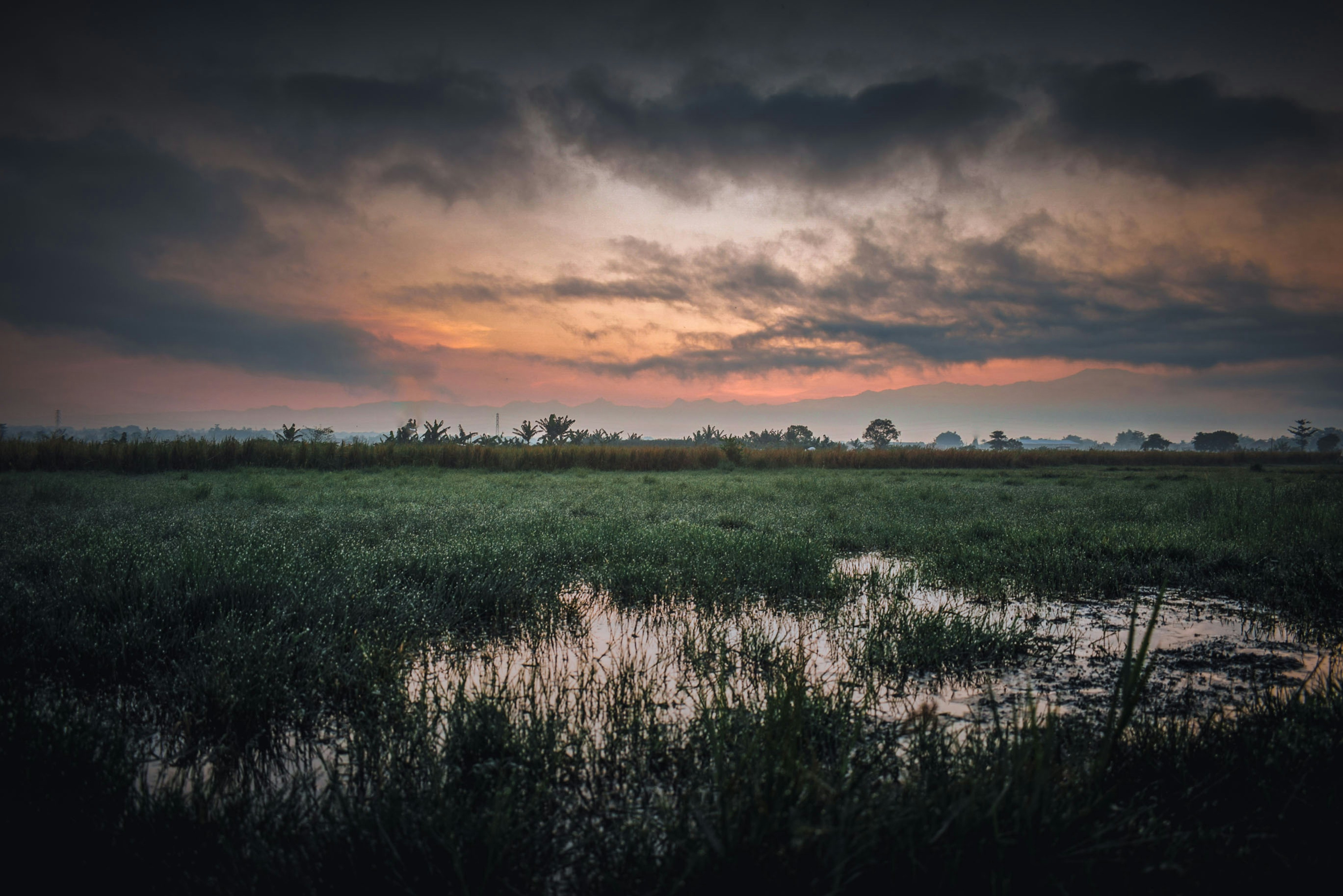 Photo by hikarinoshita