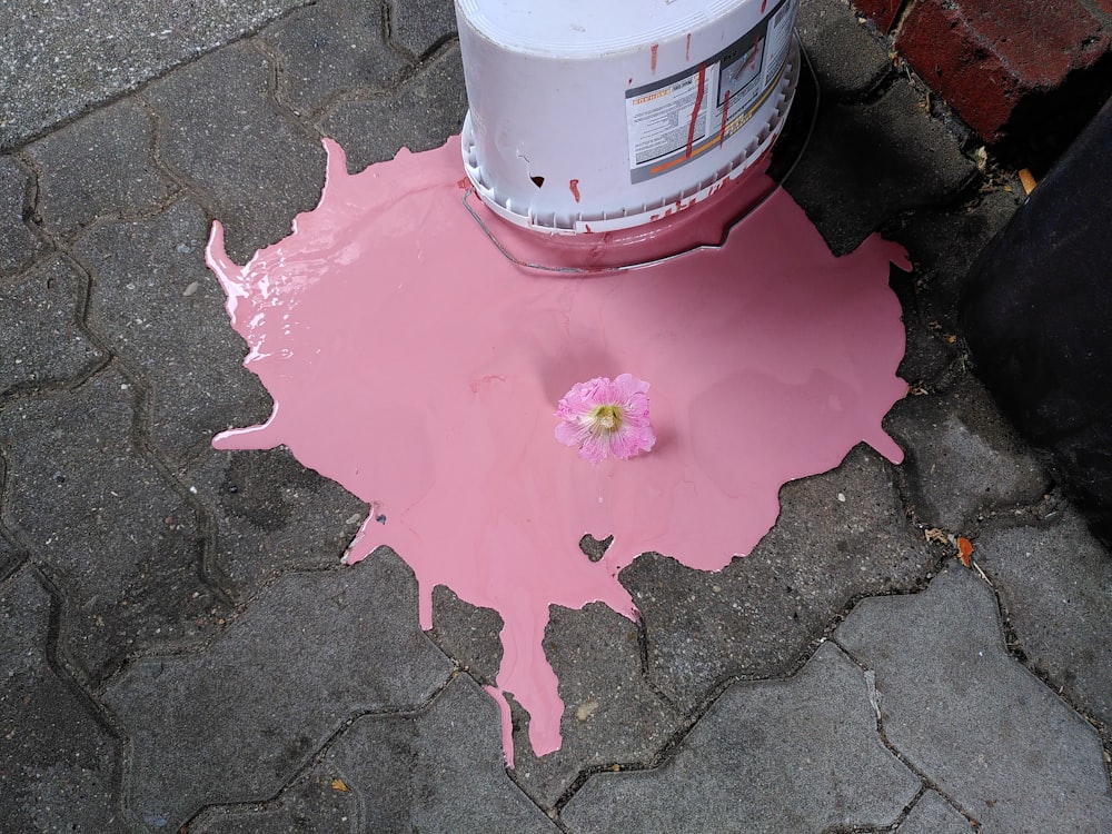 회색 콘크리트 바닥에 분홍색과 흰색 둥근 플라스틱 용기